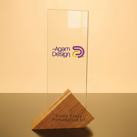 Trophée bois verre
