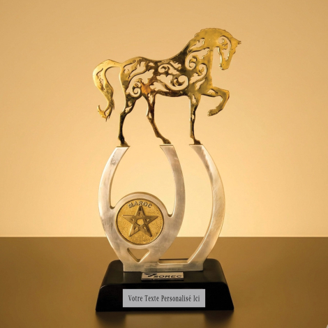 trophée 85 (2)
